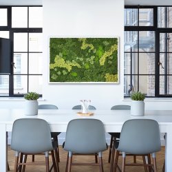 Mosbillede i mosmix 013