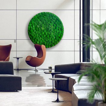 Mosbillede i pudemos