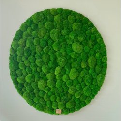 Mosbillede i pudemos